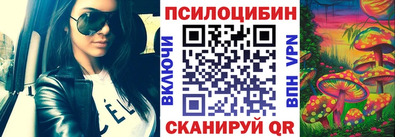 Псилоцибиновые грибы Cubensis  Купить закладки  Ясногорск 