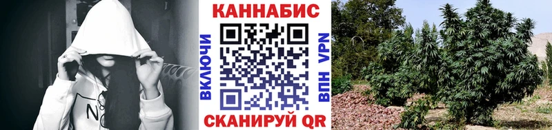 Каннабис MAZAR  Купить где  Ясногорск 